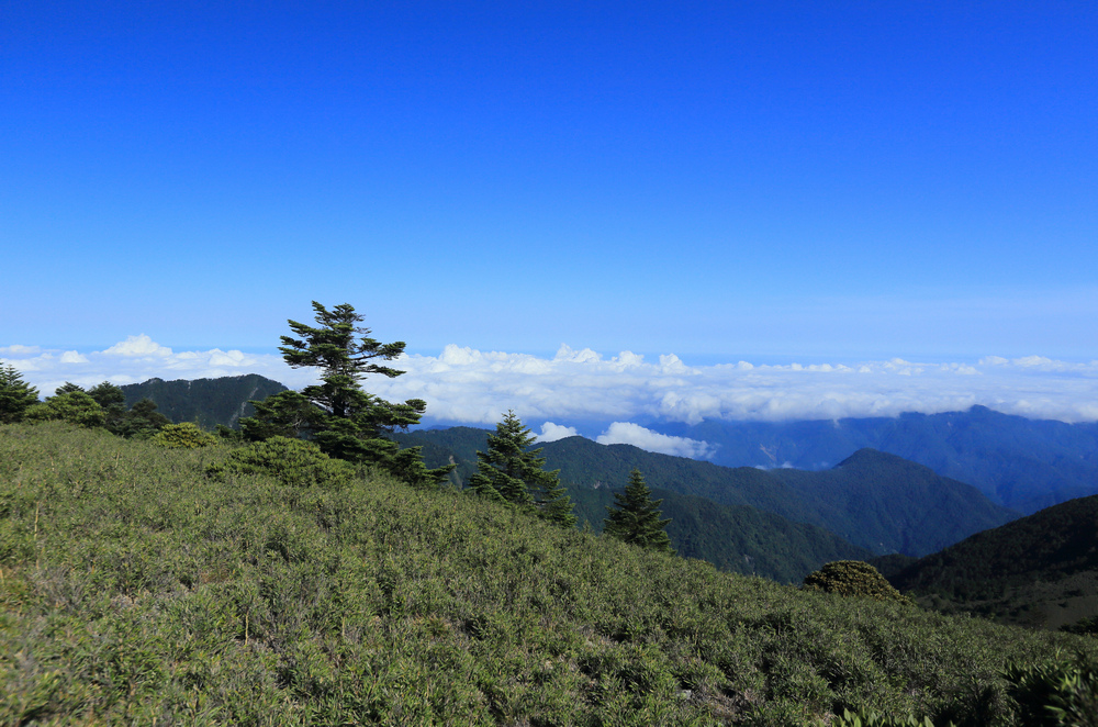 雪山西稜 D5～大雪山、匹匹達山與28.5k營地