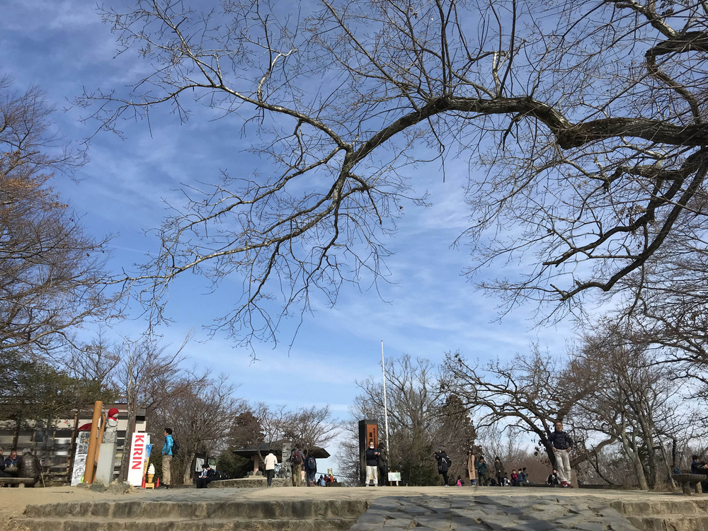DSCF2039.jpg