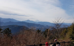 DSCF2046-2.jpg