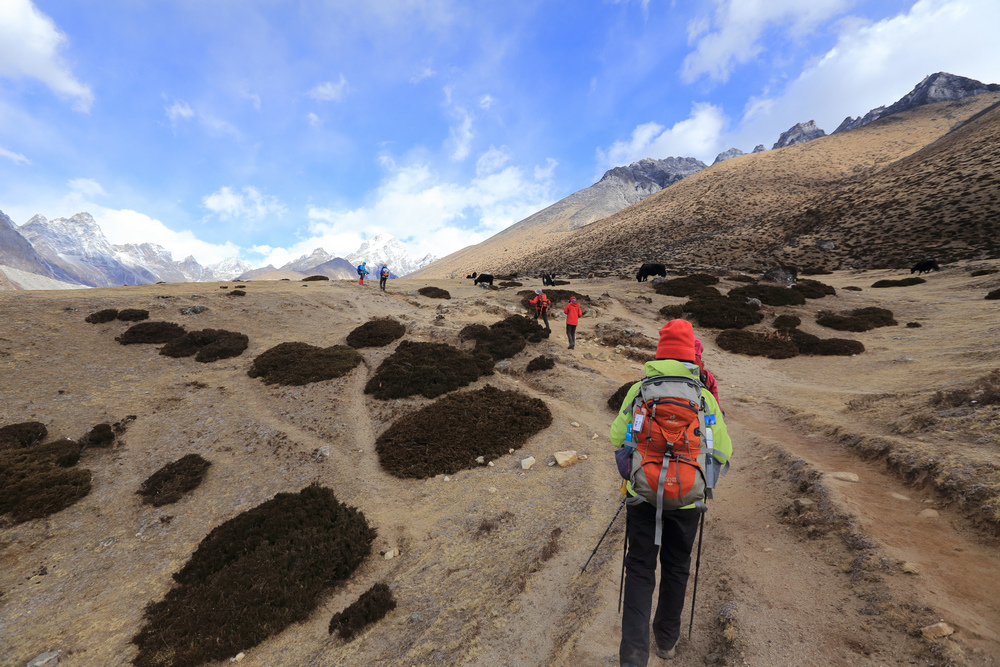 尼泊爾:聖母峰基地營健行 -6 Dingboche(丁波崎) 尼泊爾:聖母峰基地營健行 -6 Dingboche(丁波崎)