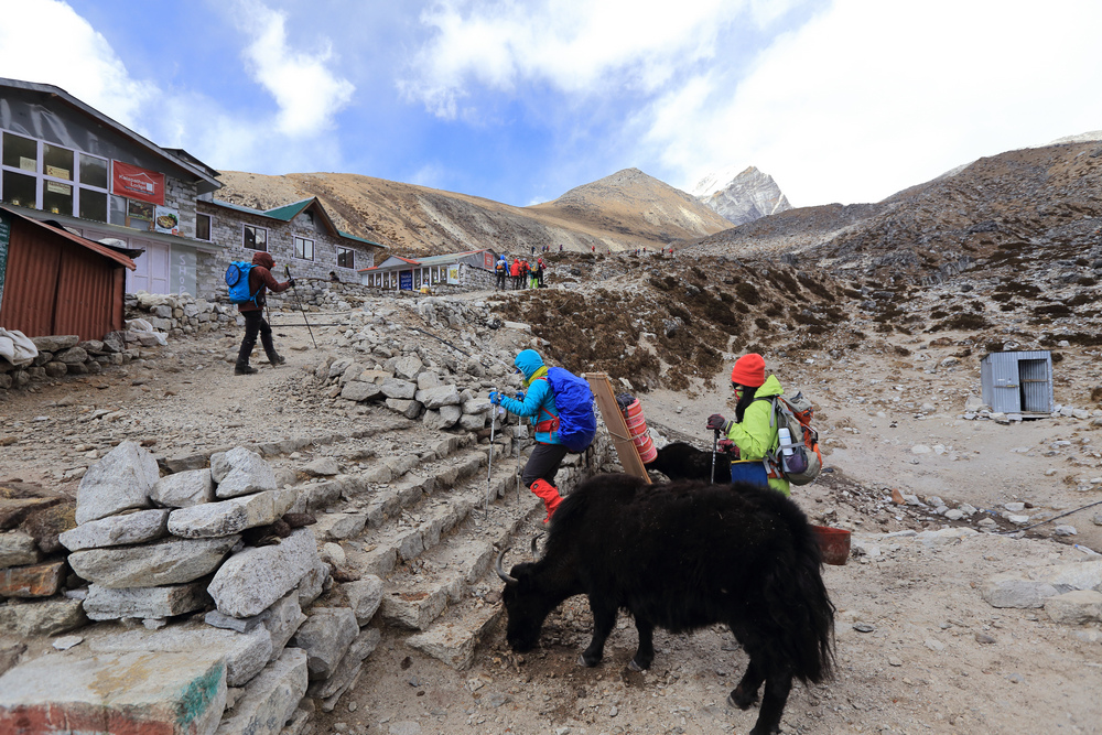 尼泊爾:聖母峰基地營健行 -6 Dingboche(丁波崎)