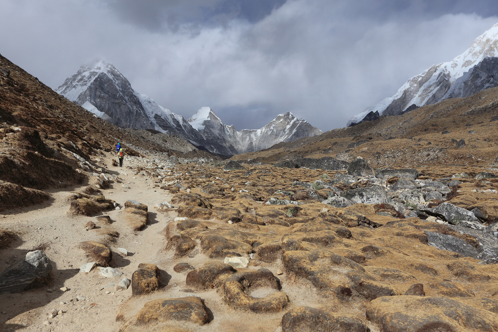 尼泊爾:聖母峰基地營健行 -6 Dingboche(丁波崎) 尼泊爾:聖母峰基地營健行 -6 Dingboche(丁波崎)