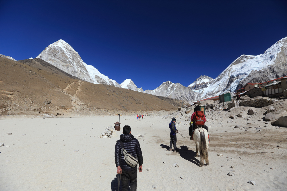 尼泊爾:聖母峰基地營健行 -7 Lobuche(羅布崎)→G