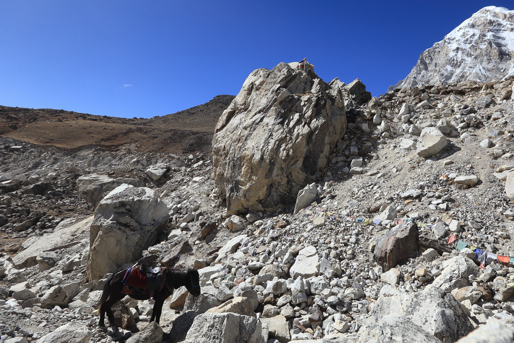尼泊爾:聖母峰基地營健行 -7 Lobuche(羅布崎)→G