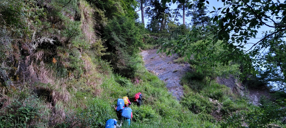 雪山西稜 D6-8～中雪山與230林道