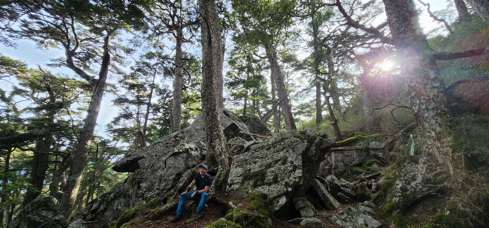 雪山西稜 D6-8～中雪山與230林道