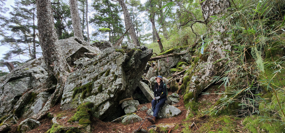 雪山西稜 D6-8～中雪山與230林道
