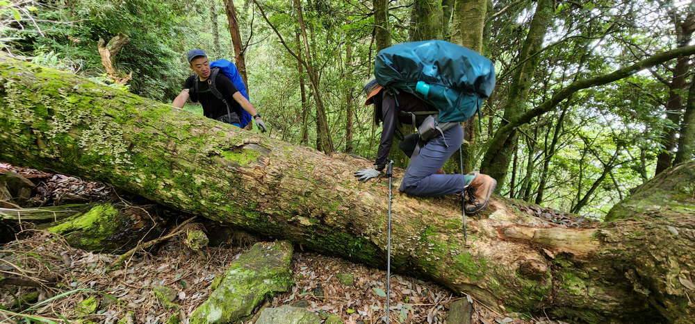 雪山西稜 D6-8～中雪山與230林道