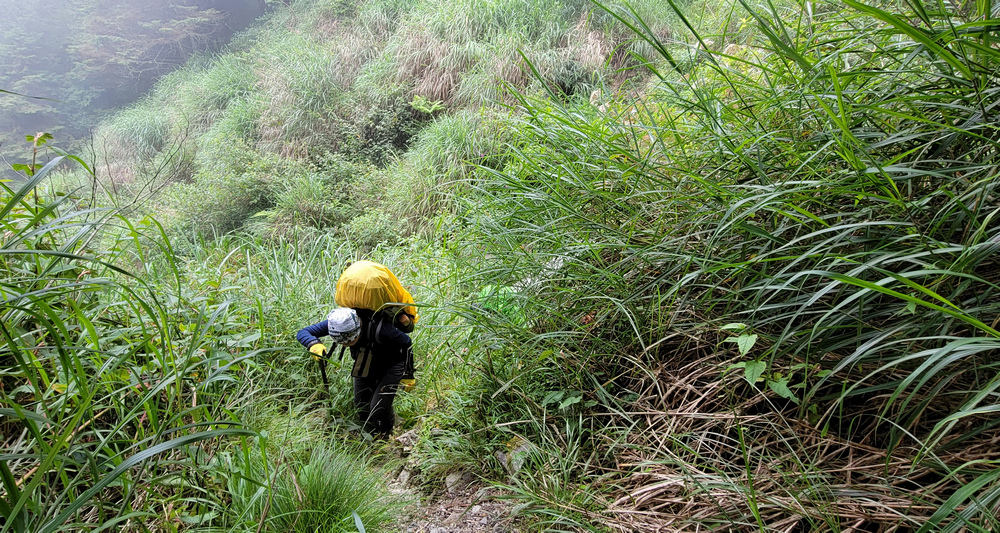 雪山西稜 D6-8～中雪山與230林道