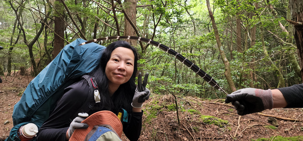 雪山西稜 D6-8～中雪山與230林道