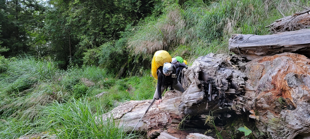 雪山西稜 D6-8～中雪山與230林道
