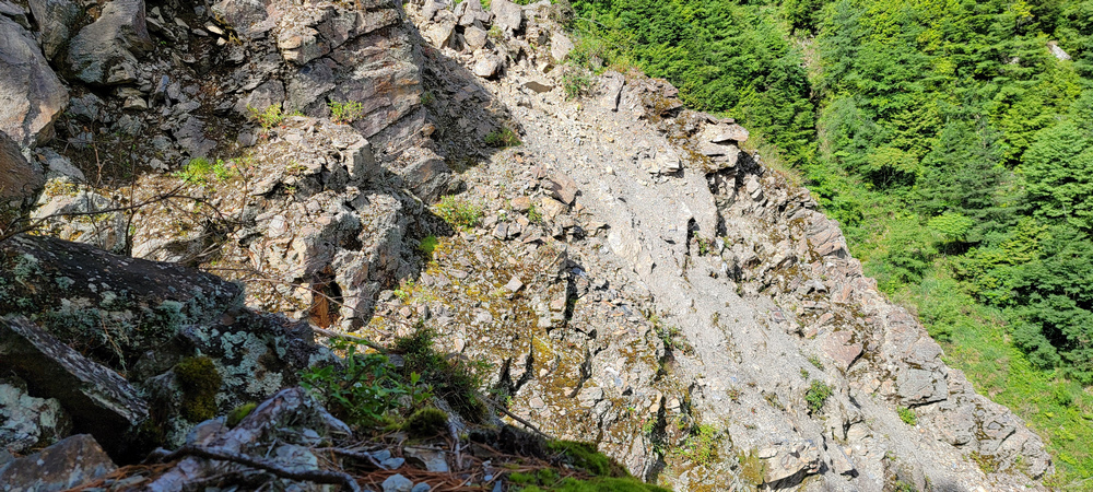 雪山西稜 D6-8～中雪山與230林道