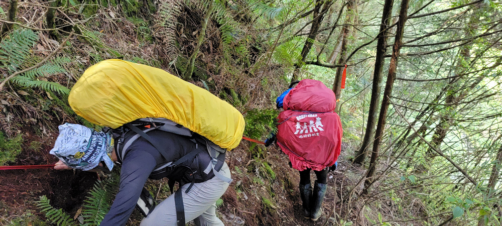雪山西稜 D6-8～中雪山與230林道
