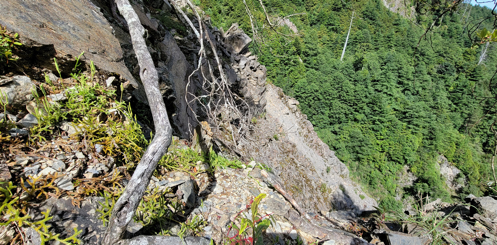 雪山西稜 D6-8～中雪山與230林道