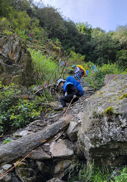 雪山西稜 D6-8～中雪山與230林道