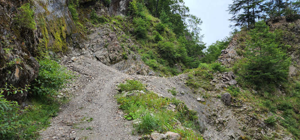 雪山西稜 D6-8～中雪山與230林道