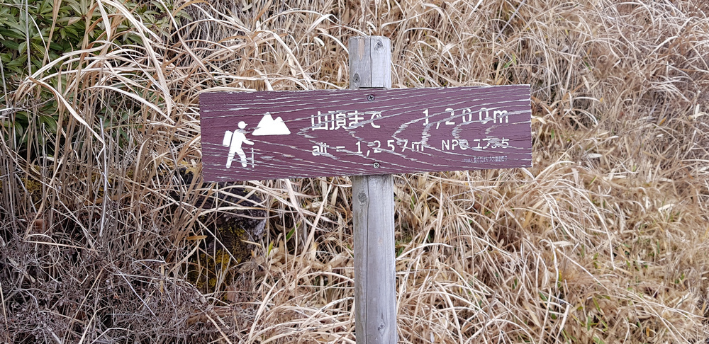 日本九州-由布岳
