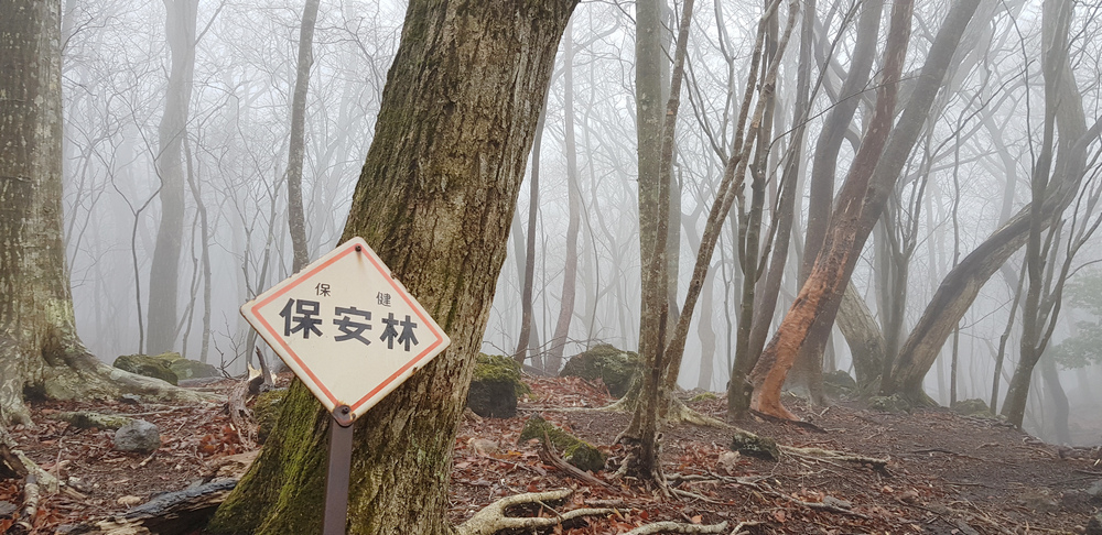日本九州-由布岳 日本九州-由布岳