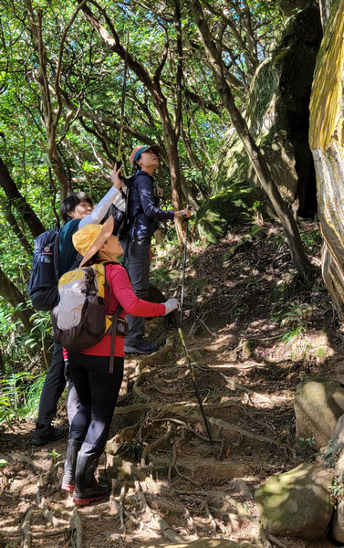 黃金九稜:南雅山西峰、南雅山、門牙岩小O繞 黃金九稜:南雅山西峰、南雅山、門牙岩小O繞
