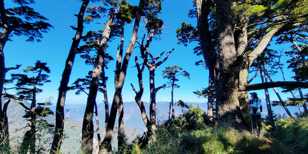 南橫三星～塔關山