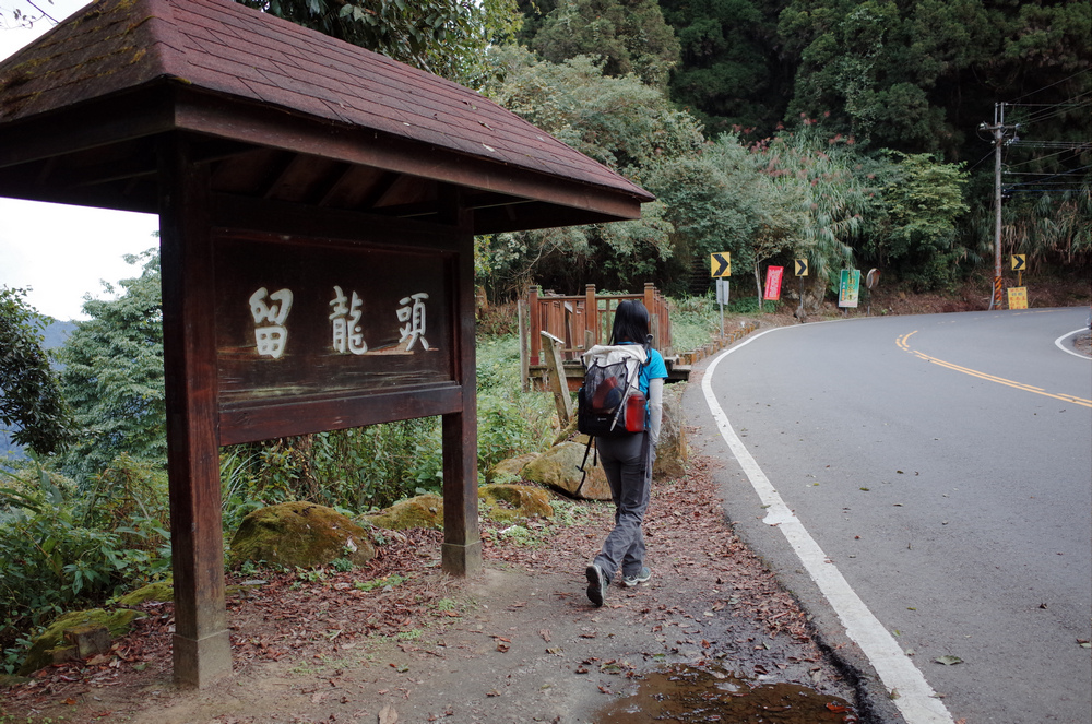 溪頭：嶺頭山、金柑樹山、溪頭山、竹崙山、志騰山