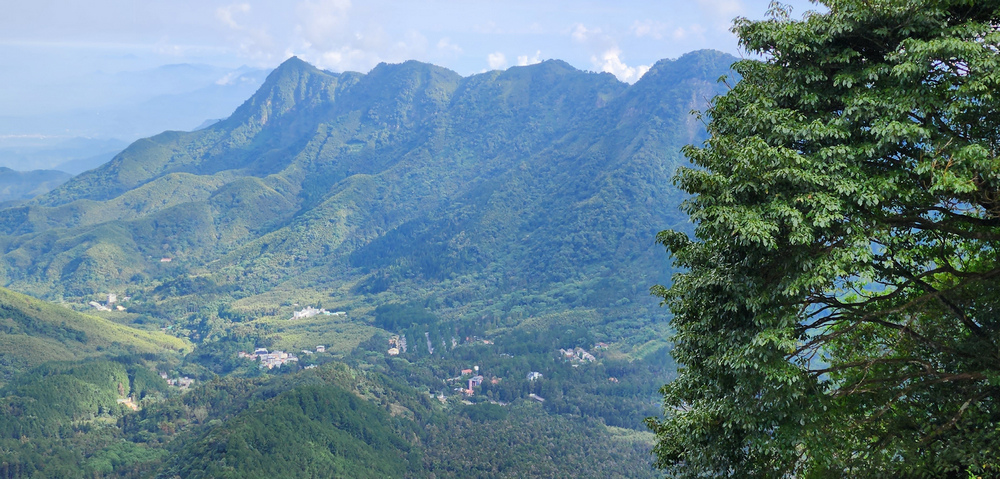 溪頭：嶺頭山、金柑樹山、溪頭山、竹崙山、志騰山