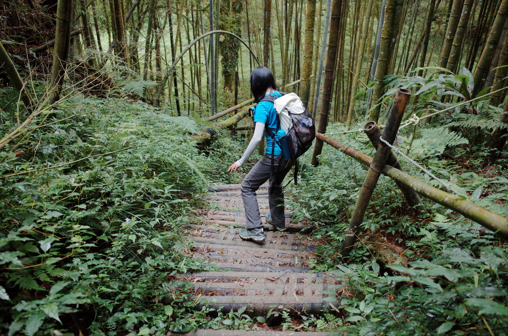 溪頭：嶺頭山、金柑樹山、溪頭山、竹崙山、志騰山