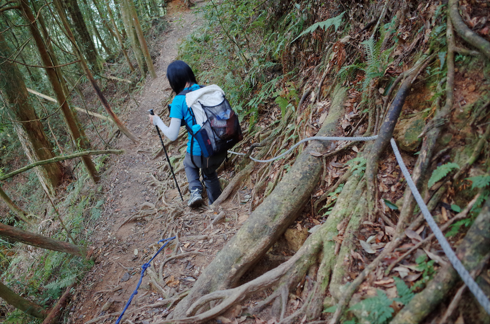 溪頭：嶺頭山、金柑樹山、溪頭山、竹崙山、志騰山