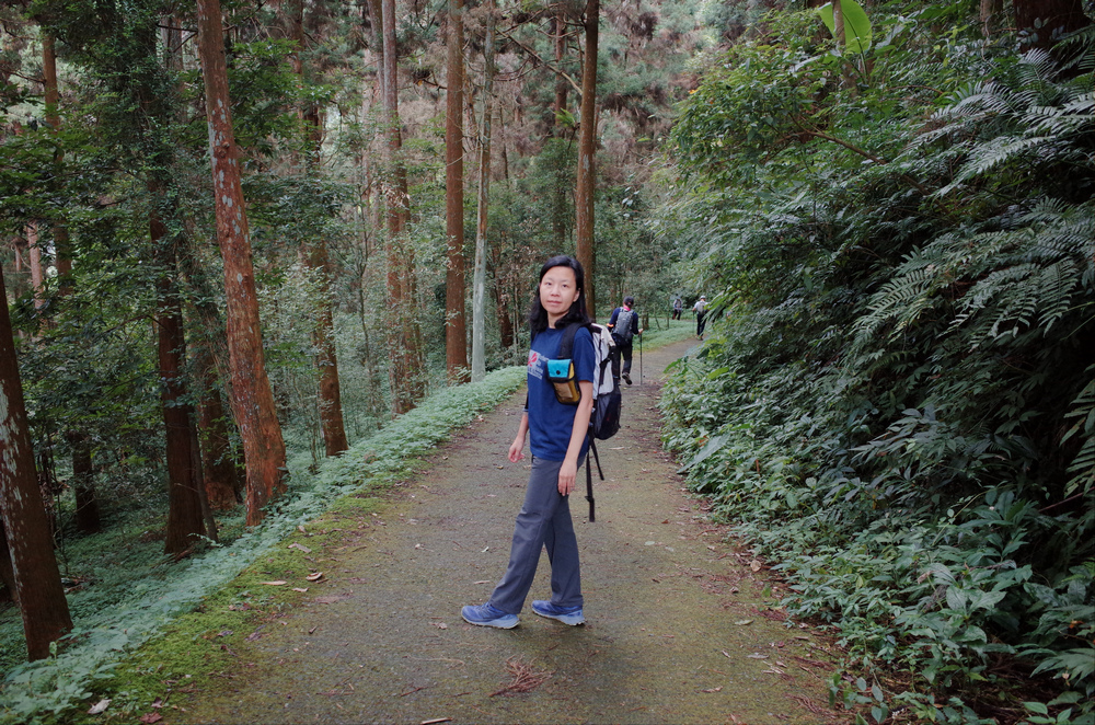 溪頭：嶺頭山、金柑樹山、溪頭山、竹崙山、志騰山