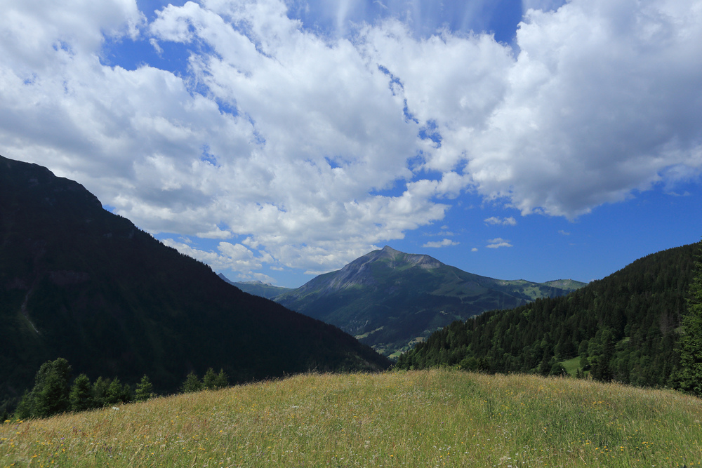 TMB環白朗峰健行：D1 Les Houches→Les C