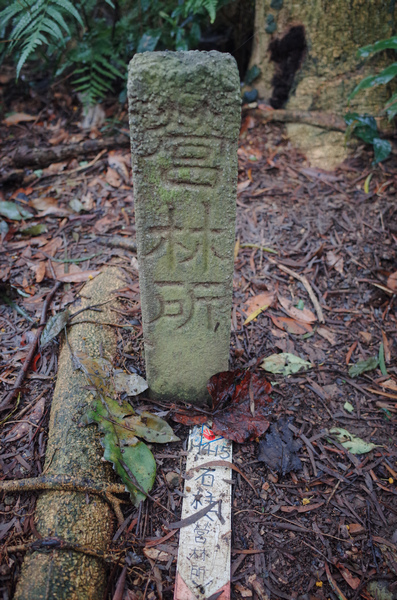 桃園金面山O形 桃園金面山O形
