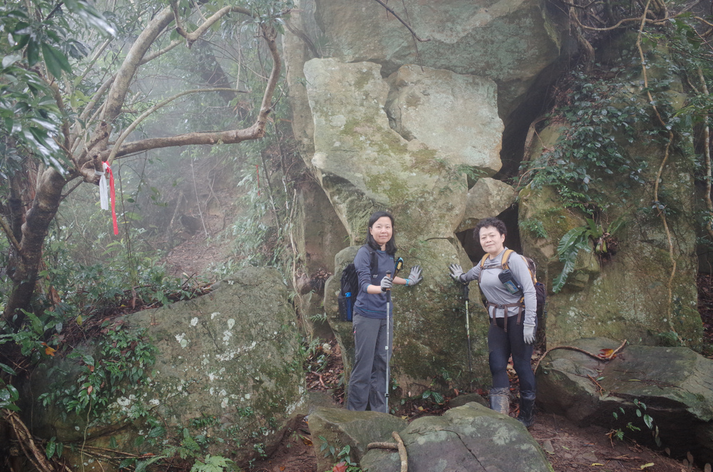 桃園金面山O形 桃園金面山O形