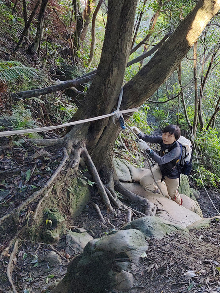 桃園金面山O形 桃園金面山O形