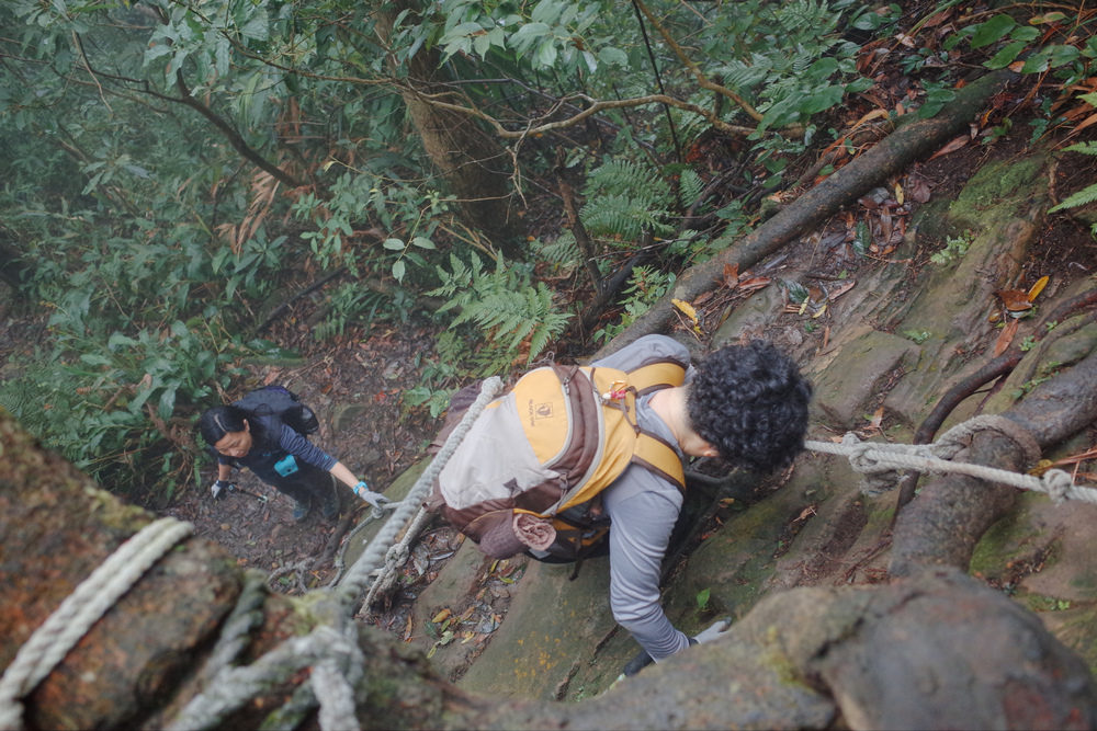 桃園金面山O形 桃園金面山O形