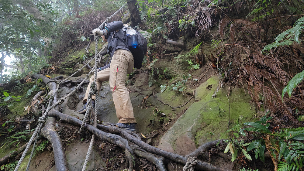 桃園金面山O形 桃園金面山O形