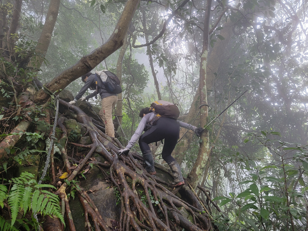 桃園金面山O形 桃園金面山O形