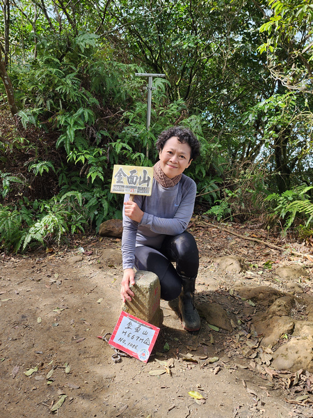 桃園金面山O形 桃園金面山O形