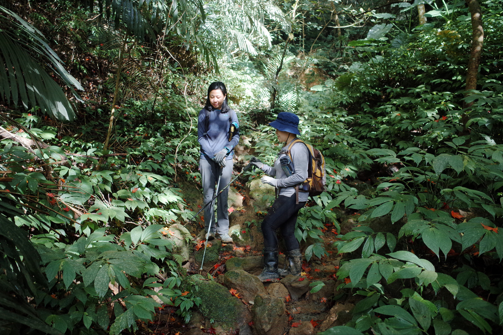 桃園金面山O形 桃園金面山O形