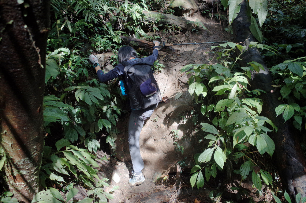 桃園金面山O形 桃園金面山O形