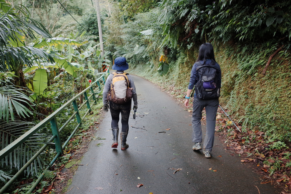 桃園金面山O形 桃園金面山O形