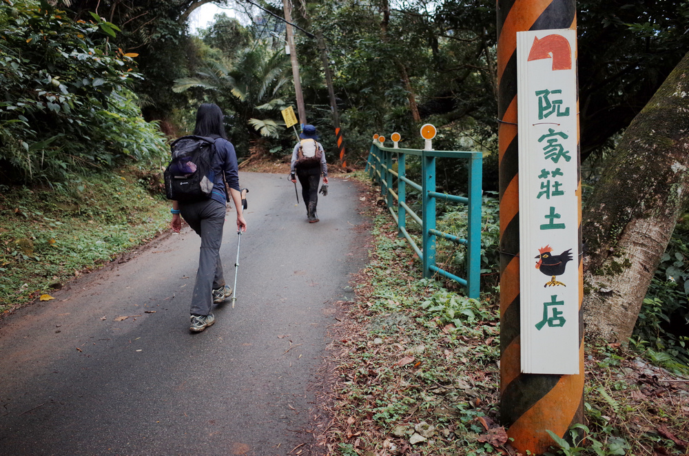 桃園金面山O形 桃園金面山O形