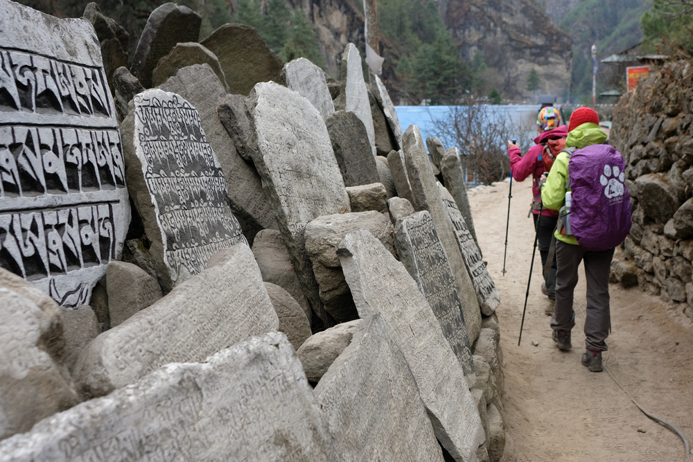 尼泊爾:聖母峰基地營健行 -9 Pheriche(費利崎)→