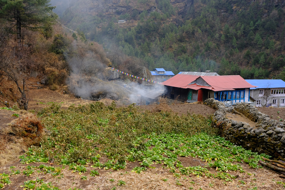 尼泊爾:聖母峰基地營健行 -9 Pheriche(費利崎)→ 尼泊爾:聖母峰基地營健行 -9 Pheriche(費利崎)→