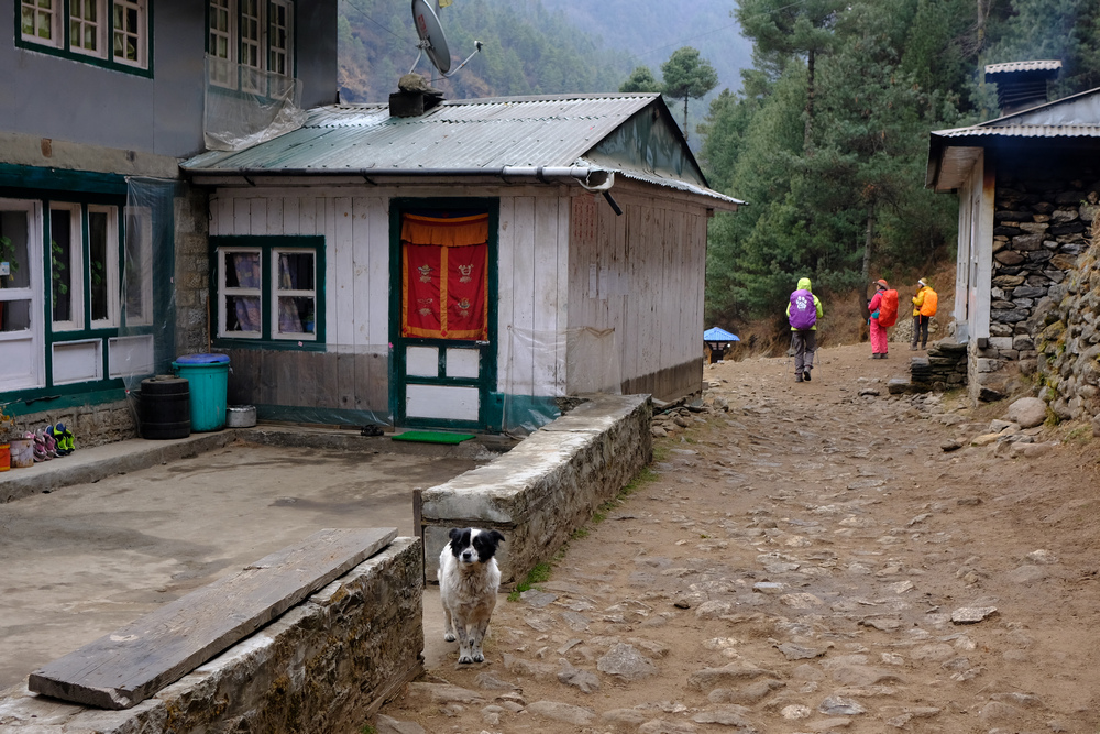 尼泊爾:聖母峰基地營健行 -9 Pheriche(費利崎)→