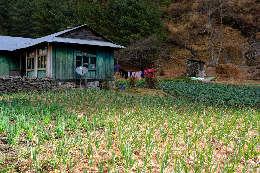 尼泊爾:聖母峰基地營健行 -9 Pheriche(費利崎)→