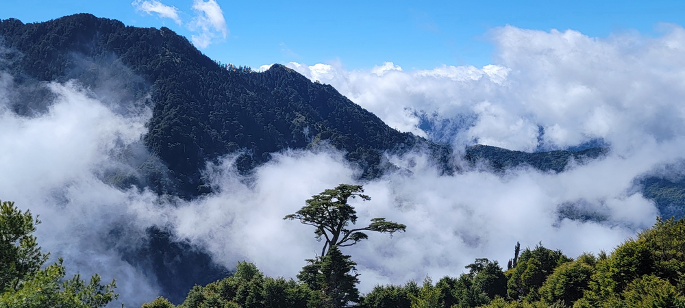 南橫三星-庫哈諾辛山 南橫三星-庫哈諾辛山