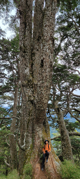 南橫三星-庫哈諾辛山 南橫三星-庫哈諾辛山