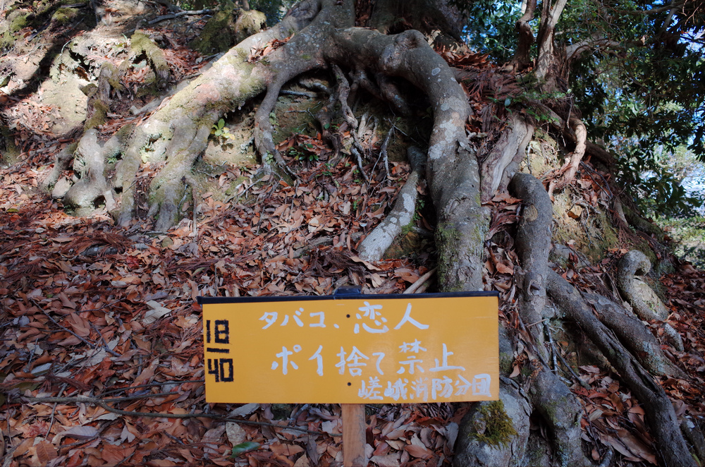 日本京都--愛宕山