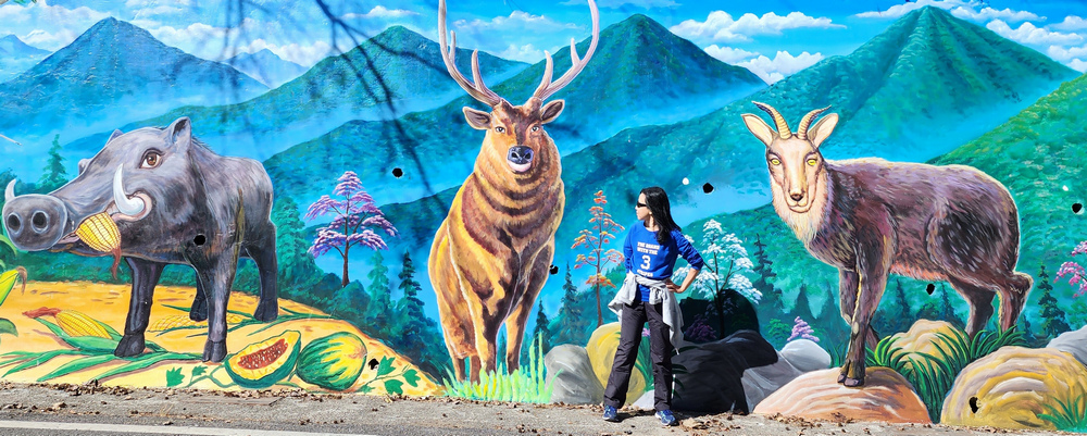 冬季的山區小旅行:南橫、福壽山、合歡溪古道