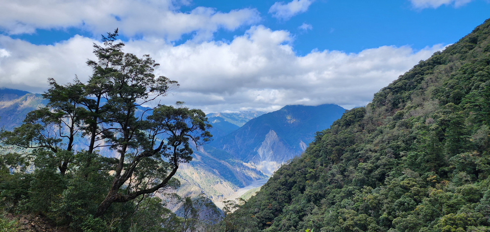 冬季的山區小旅行:南橫、福壽山、合歡溪古道
